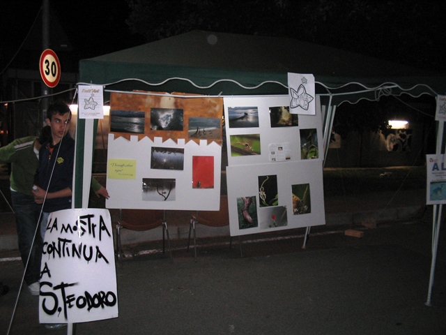 La mostra 